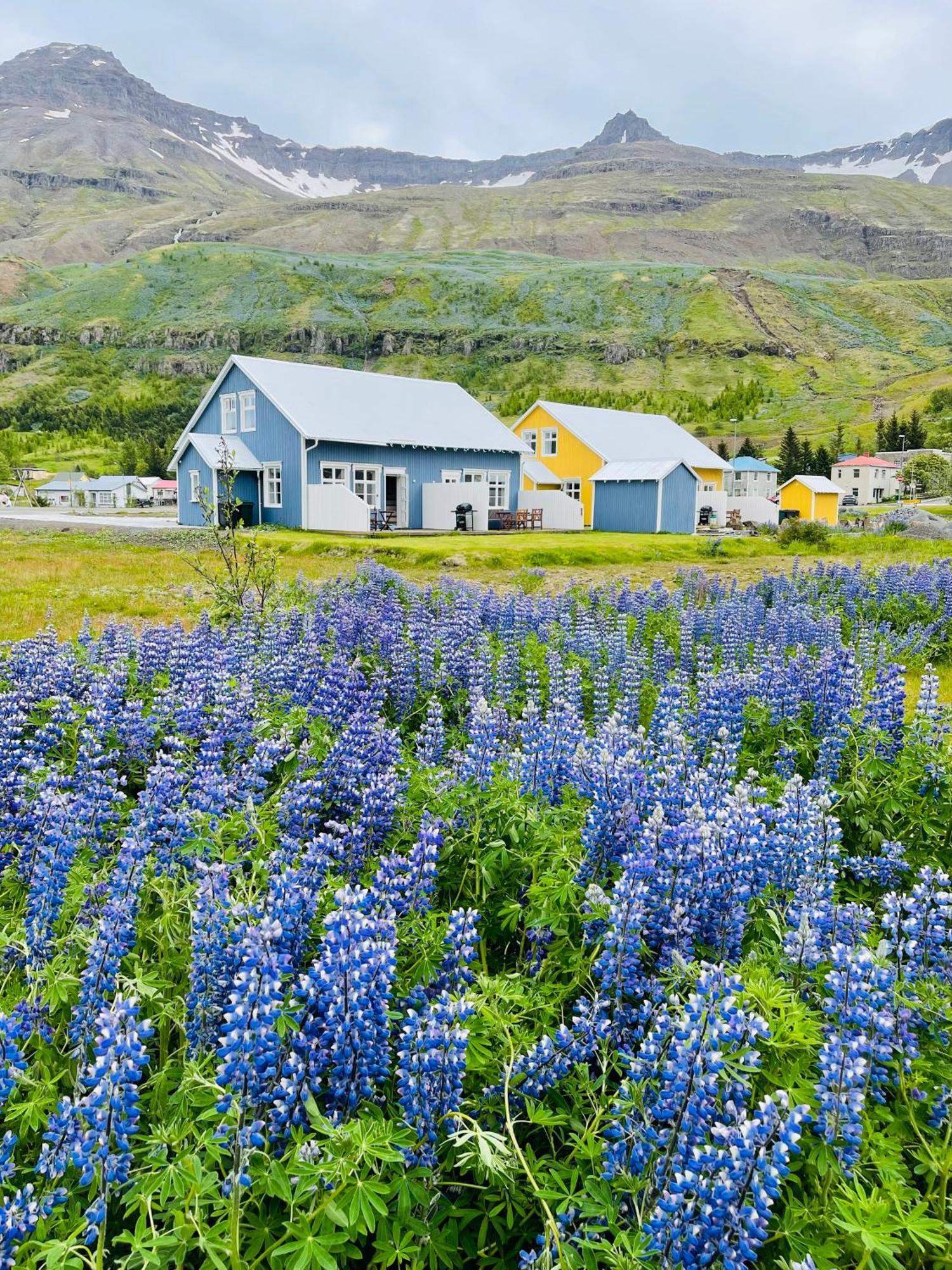 Lonsleira Apartments Seythisfjorthur Exterior photo