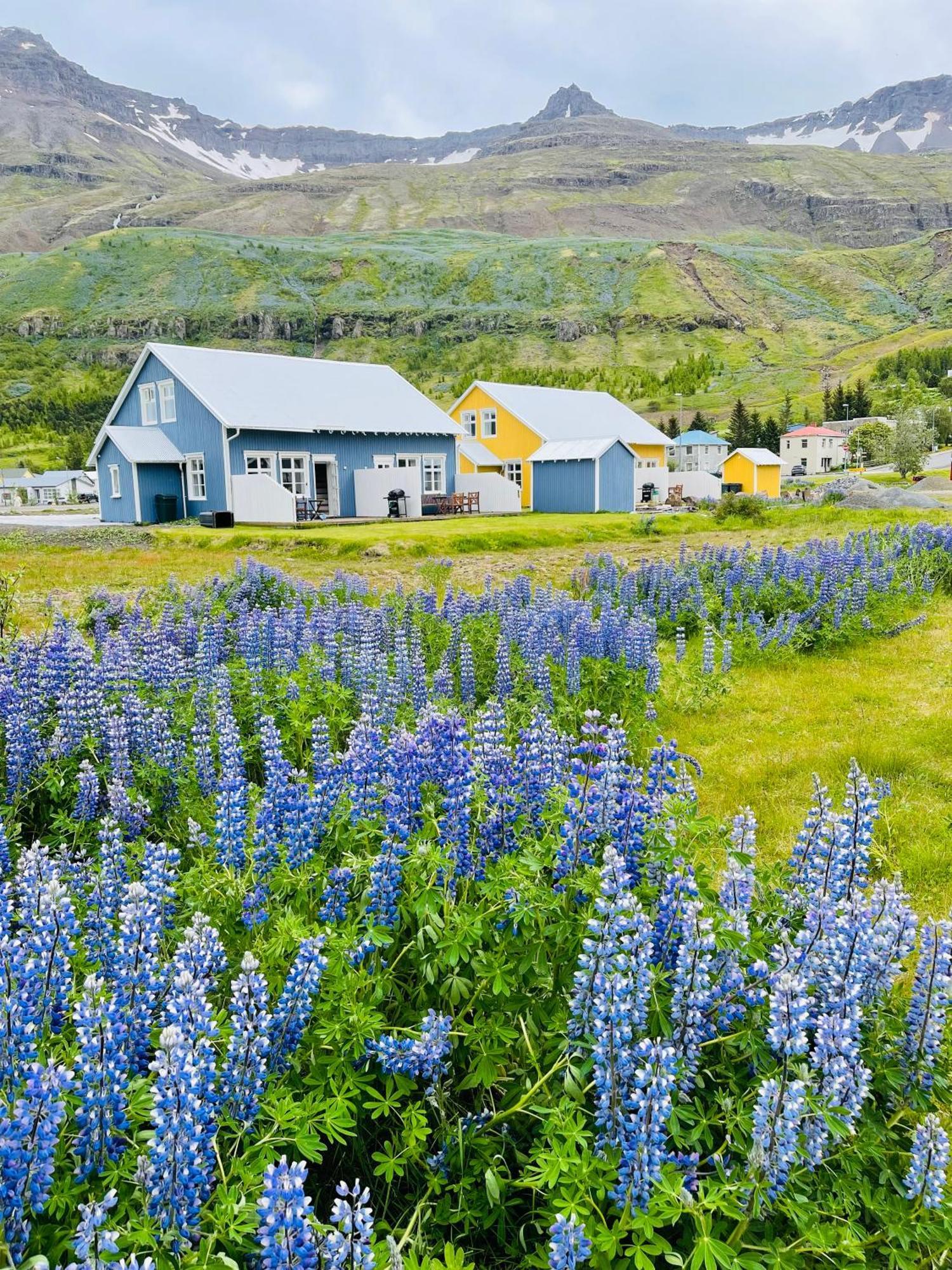 Lonsleira Apartments Seythisfjorthur Exterior photo